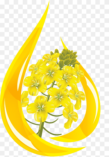 সরিষার তেল