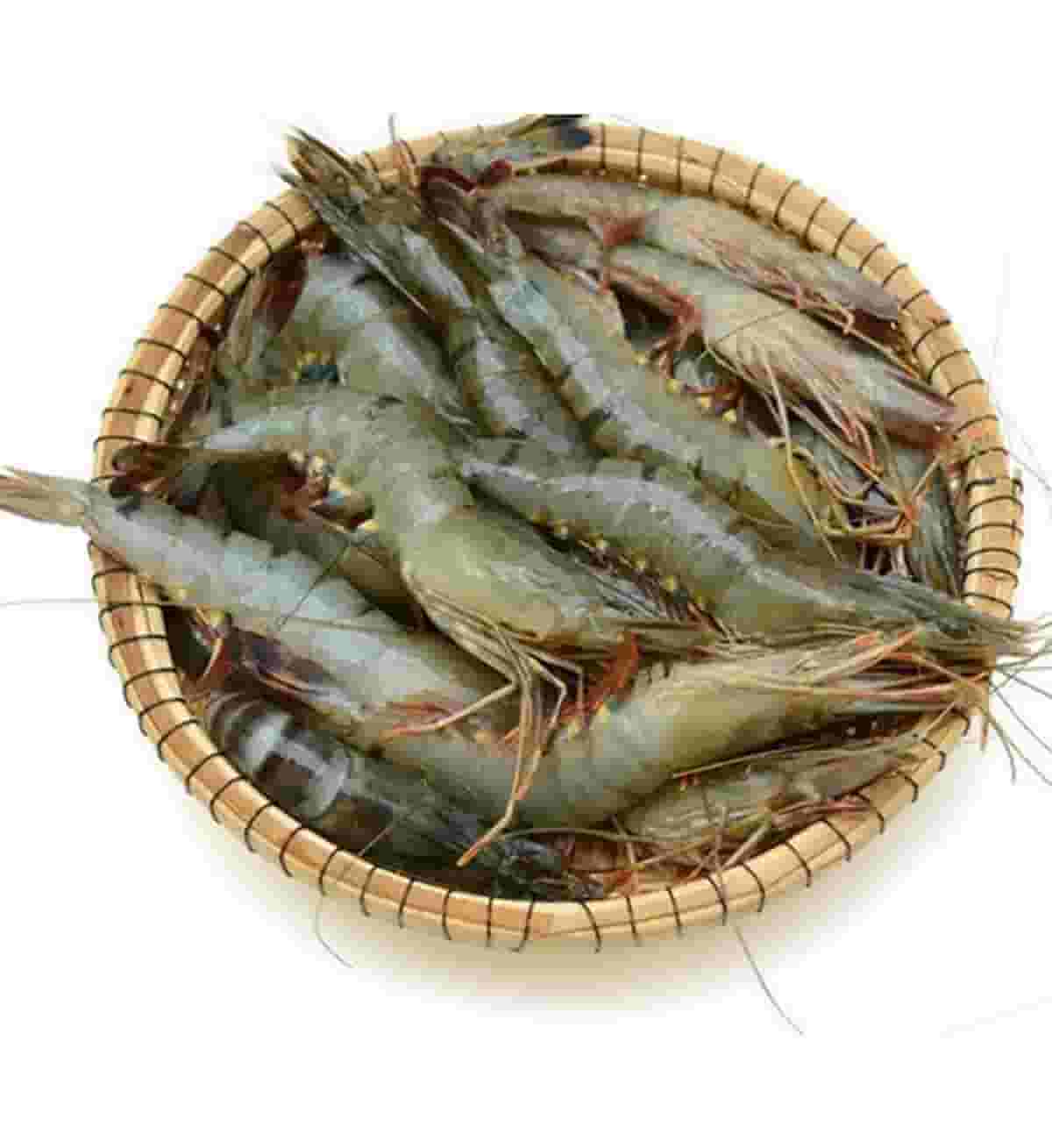 গলদা চিংড়ি মাছ-৫০০ গ্রাম