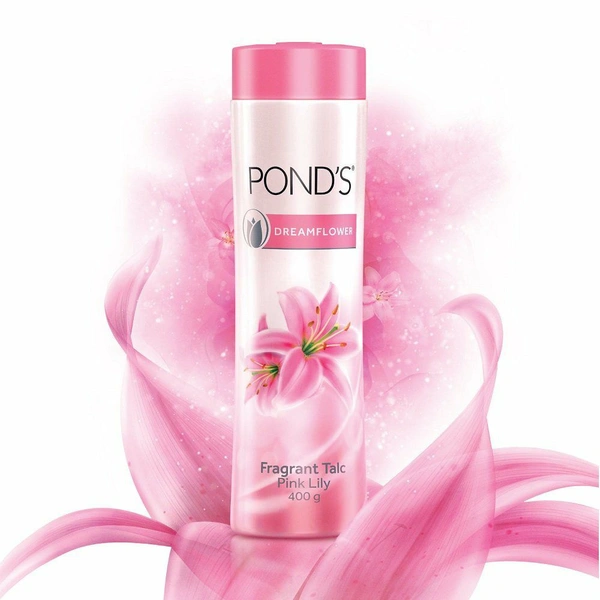 Ponds Powder-19 g